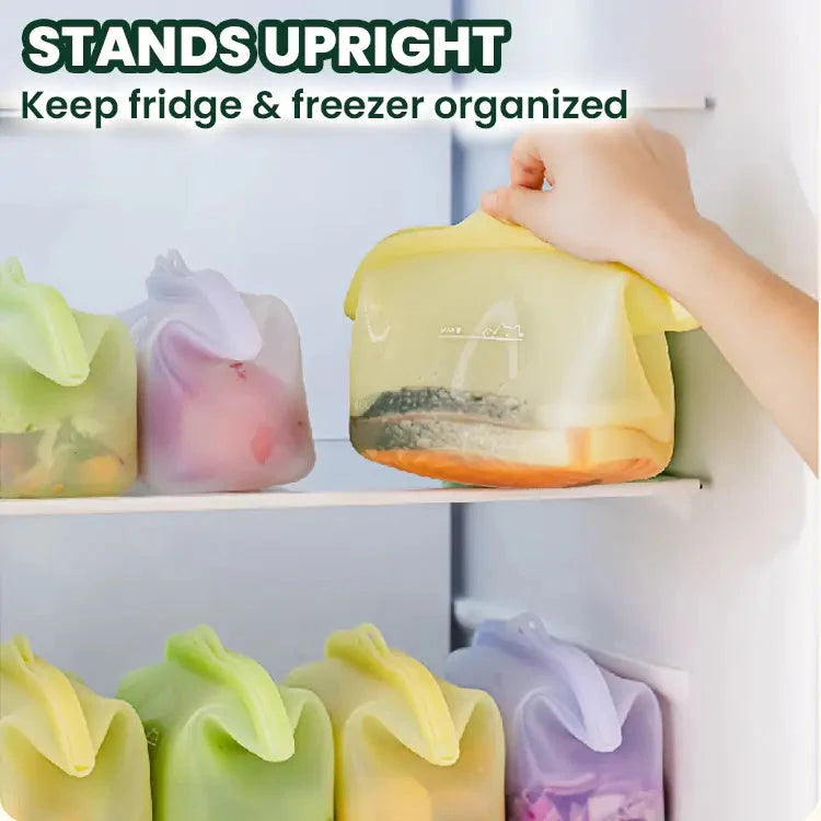 EverBag Platinum Silicone Storage Bag